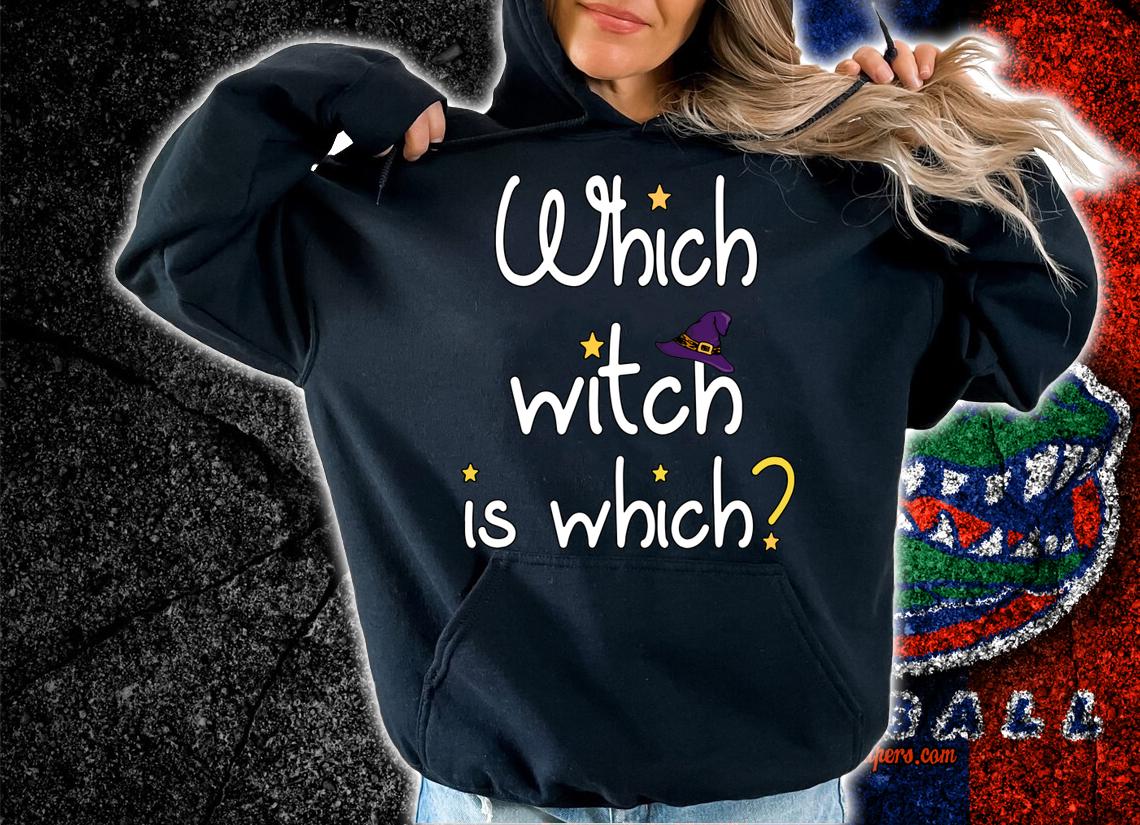 Which Witch Is Which Funny Halloween English Grammar Teacher t-shirt hoodie