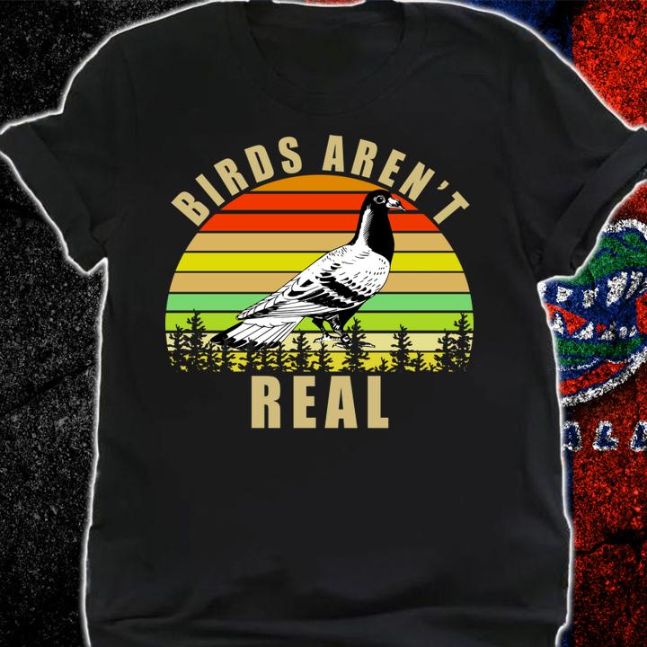 Birds aren’t Real vintage sunset t-shirt shirt