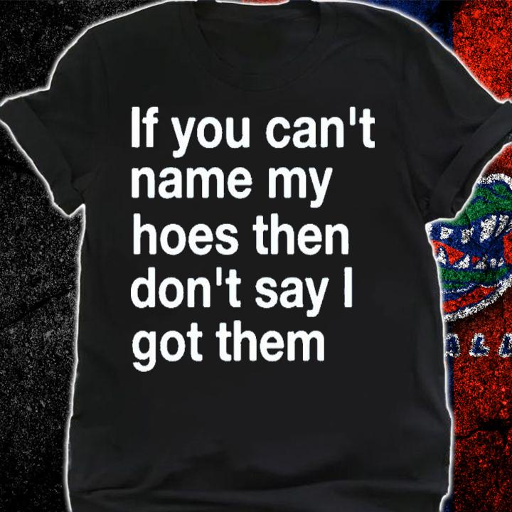 If You Can't Name My Hoes Then Don't Say I Got Them Shirt t-shirt shirt