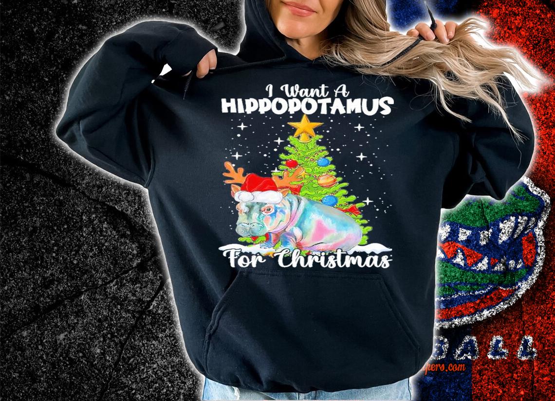 I Want A Hippopotamus For Christmas Shirt hoodie